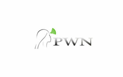 Recap 5 Professional Women's Network Buzz – Special Membership & Christmas Fair 2015